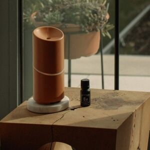🆕 Vitruvi Move Diffuser in Terracotta
